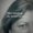 Photo of Patti C.