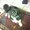 Photo of Arman M.