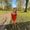 Photo of Samantha S.