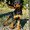 Photo of Samandra C.