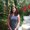 Photo of Krista B.