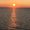 Photo of Dawn S.