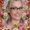 Photo of Shawna M.