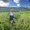 Photo of Andelena H.