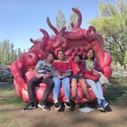 google avatar