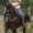 Photo of Sharla G.