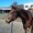 Photo of Sheri C.
