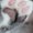 Photo of Qype User (Frisch…)
