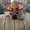 Photo of Cami M.