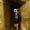 Photo of Joelle C.