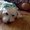 Photo of Lisette A.