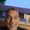 Photo of Steven P.