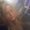Photo of Karlie L.