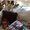 Photo of Lisa Y.