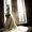 Photo of Tara D.