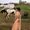 Photo of Avneet H.