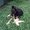 Photo of Chand D.