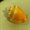Photo of Bubble L.