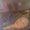 Photo of Imani H.