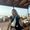 Photo of Darlene S.