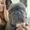 Photo of Melisa S.