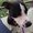 Photo of Stacia S.