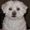 Photo of Sonny N.