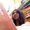 Photo of Jessenia C.