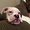 Photo of Bailey S.