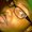 Photo of Shane H.