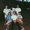 Photo of Angelo B.
