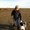 Photo of Lori D.