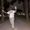 Photo of Shimmy S.