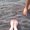 Photo of Celine D.
