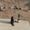 Photo of Ericka R.