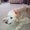 Photo of Bailey C.