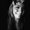 Photo of Berenice O.