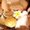 Photo of Winita M.
