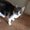 Photo of Joey M.