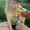 Photo of Kayla N.