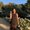 Photo of Kendra L.