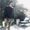 Photo of Shailesh N.