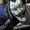 Photo of Ryuk D.