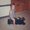 Photo of Cindy L.
