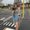 Photo of Brigit N.