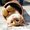 Photo of Qype User (zausel…)