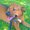 Photo of DanRae W.