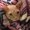 Photo of Magen K.