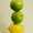 Photo of Lemon L.