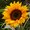 Photo of Qype User (19Hans…)